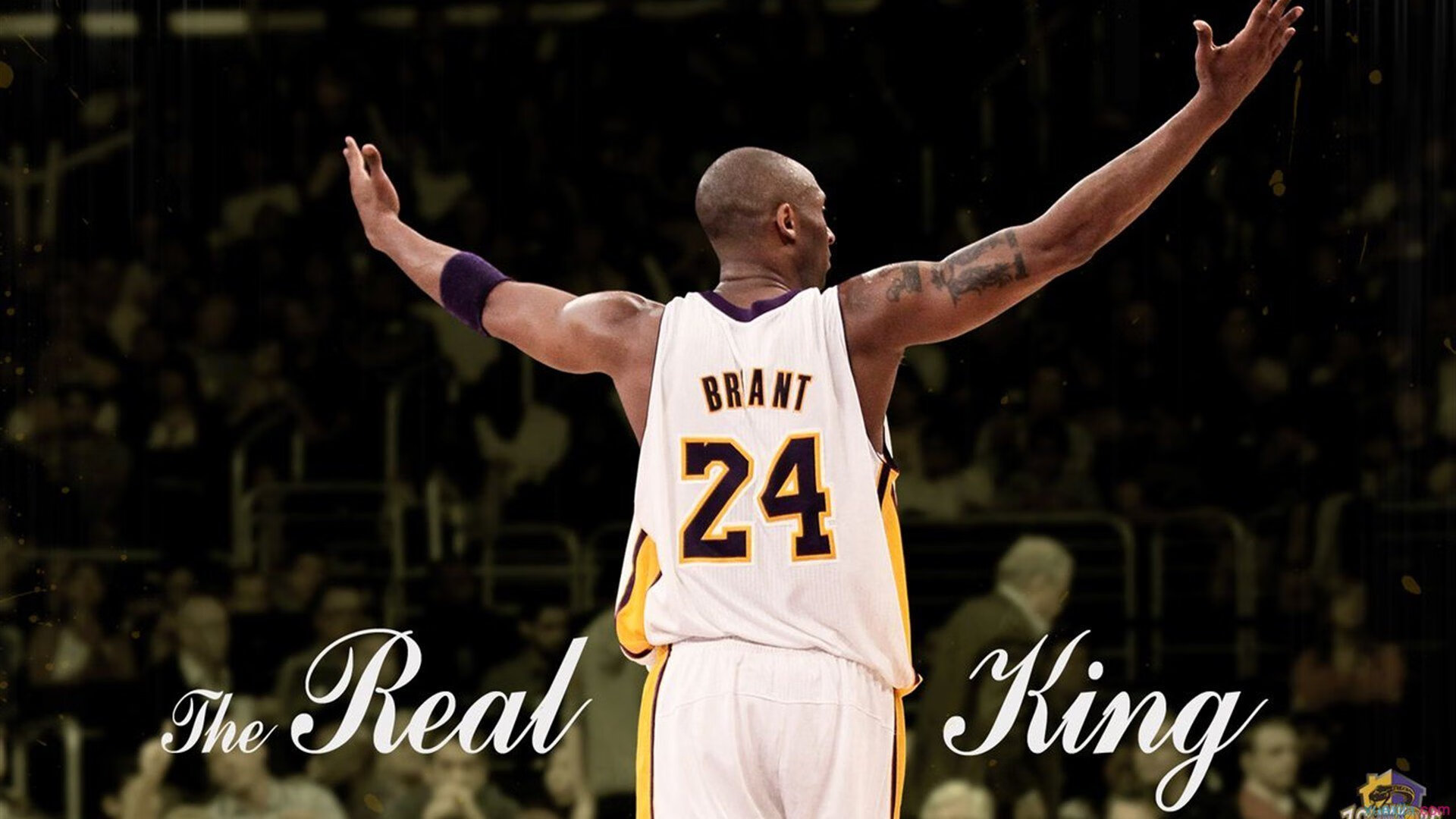 独行侠发布幕后纪录展示球队集训全貌,独行侠队球馆